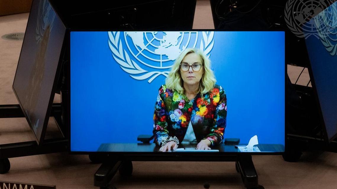 Security Council Meets on Situation in Middle East, Including Palestinian Question